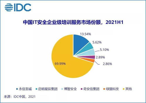 IDC報告 2021上半年中國網絡安全服務市場規模翻倍增長，網絡與信息安全軟件開發迎來新機遇